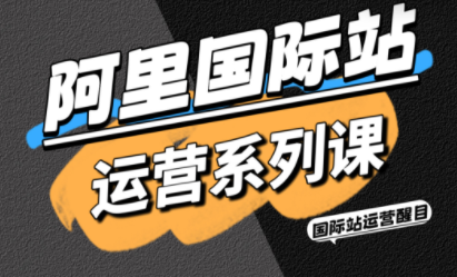 醒目老师·阿里国际站运营系列课(更新11月)-白蛇网赚
