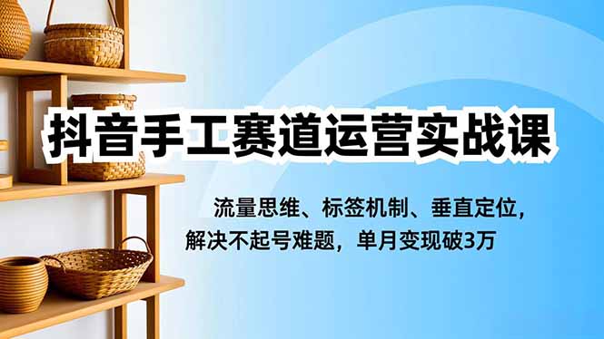 抖音手工赛道运营实战课,流量思维、标签机制、垂直定位,解决不起号难题,单月变现破3万-白蛇网赚