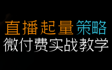 半野老师·直播带货起量与微付费必学课视频号-白蛇网赚