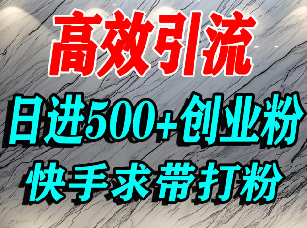 怎么打创业粉？快手求带视角精准引流创业粉，宝妈、学生群体日进500+精准流量-白蛇网赚