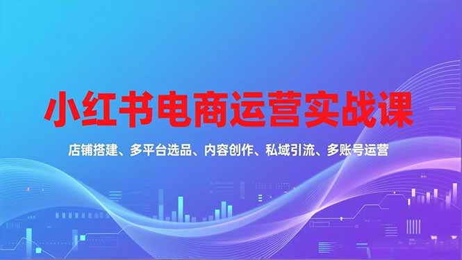 小红书电商运营实战课，店铺搭建、多平台选品、内容创作、私域引流、多账号运营等玩法-白蛇网赚