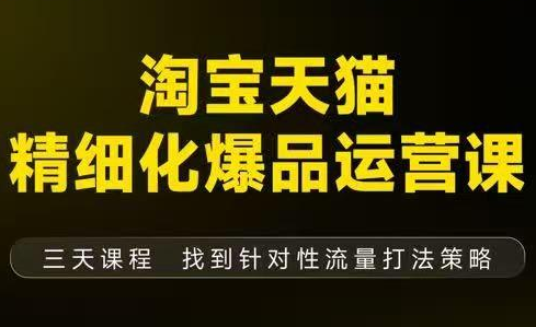 猫课子幽·淘宝天猫精细化爆品运营【音频+字幕+文档】(9月12-14杭州线下课)-白蛇网赚
