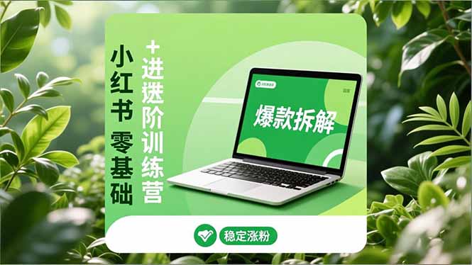 小红书零基础+高阶训练营：安全养号、爆款拆解、长效运营，实现稳定涨粉与变现-白蛇网赚