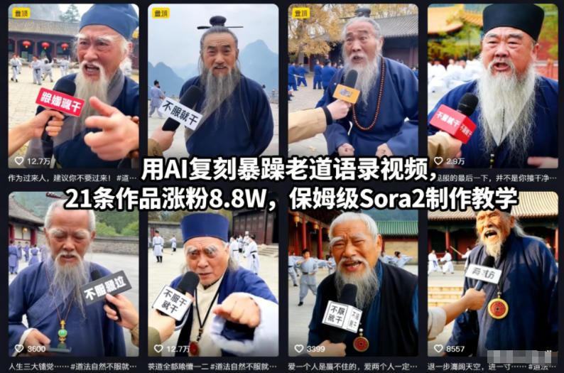 用AI复刻暴躁老道语录视频，21条作品涨粉8.8W，保姆级Sora2制作教学-白蛇网赚