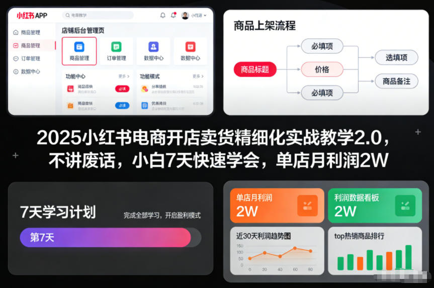 2025小红书电商开店卖货精细化实战教学2.0，不讲废话，小白7天快速学会，单店月利润2W-白蛇网赚