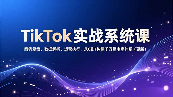 TikTok实战系统课，案例复盘、数据解析、运营执行，从0到1构建千万级电商体系(更新-白蛇网赚