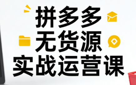 子枫老师·拼多多无货源实战运营课(更新12月)-白蛇网赚