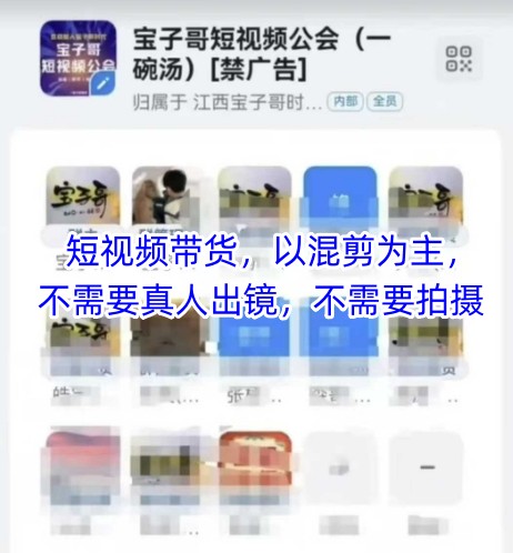 宝子哥头部团队短视频带货,以混剪为主,不需要真人出镜,不需要拍摄【更新12月】-白蛇网赚