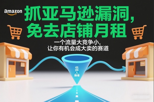抓亚马逊漏洞,免去店铺月租,一个流量大竞争小,让你有机会成大卖的赛道-白蛇网赚