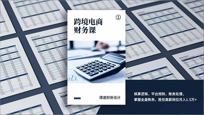 跨境电商财务课，核算逻辑、平台规则、账务处理，掌握全盘账务，胜任高薪岗位月入1.5万+-白蛇网赚