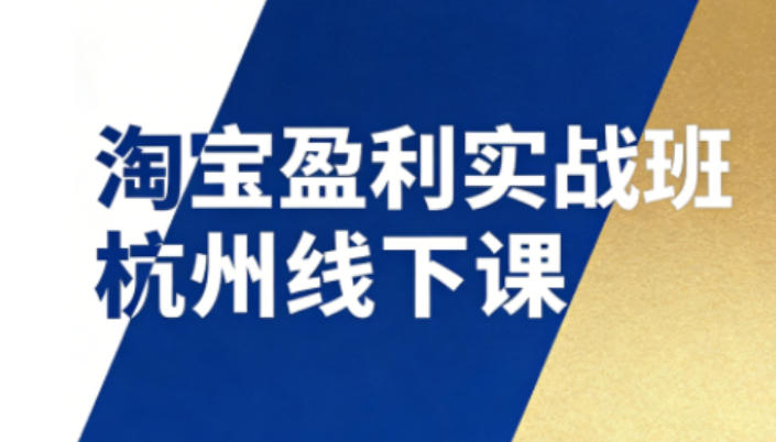 淘宝盈利实战班杭州线下课12月26-28日(音频+字幕)，帮你掌握SOP流程+12门核心技术-白蛇网赚