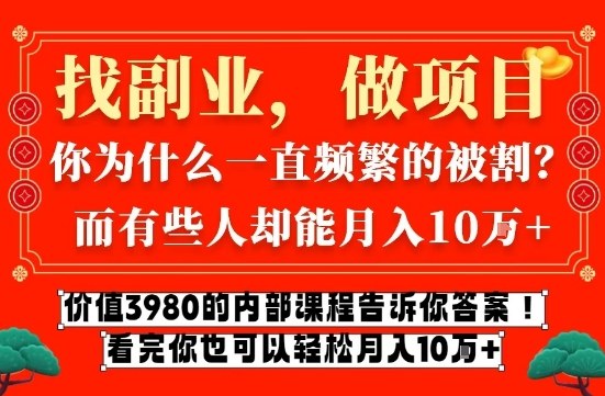 价值3980的网创内部课程，告诉你互联网创业月入10个W的秘密【揭秘】-白蛇网赚
