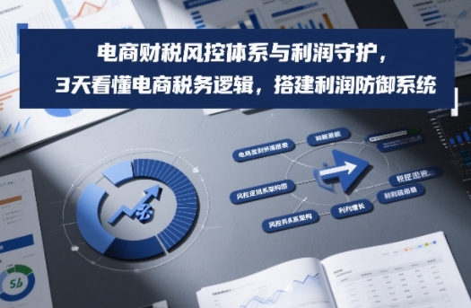 电商财税风控体系与利润守护，3天看懂电商税务逻辑，搭建利润防御系统-白蛇网赚