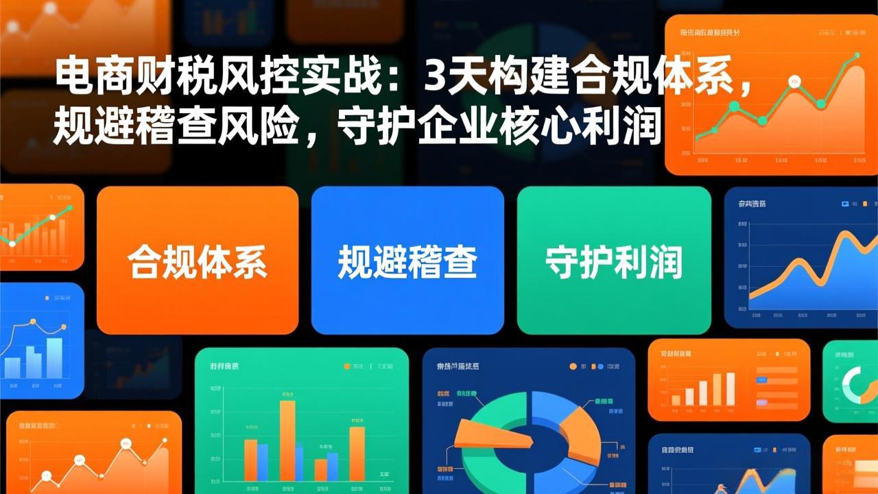 电商财税风控实战：3天构建合规体系，规避稽查风险，守护企业核心利润-白蛇网赚