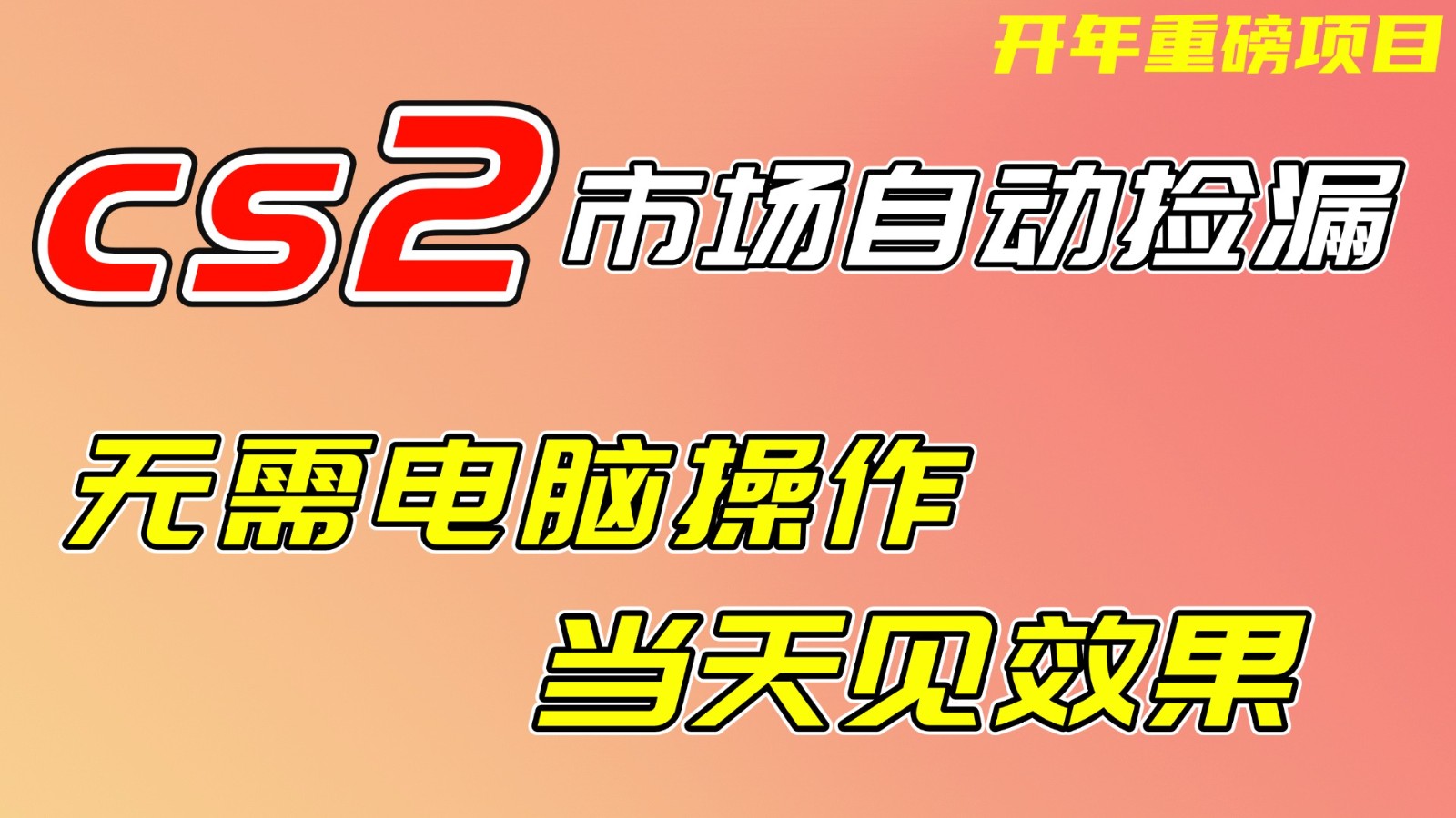 CS2市场挂机项，无需电脑操作，无需进入游戏，当天见效果，支持任何形式验证-白蛇网赚