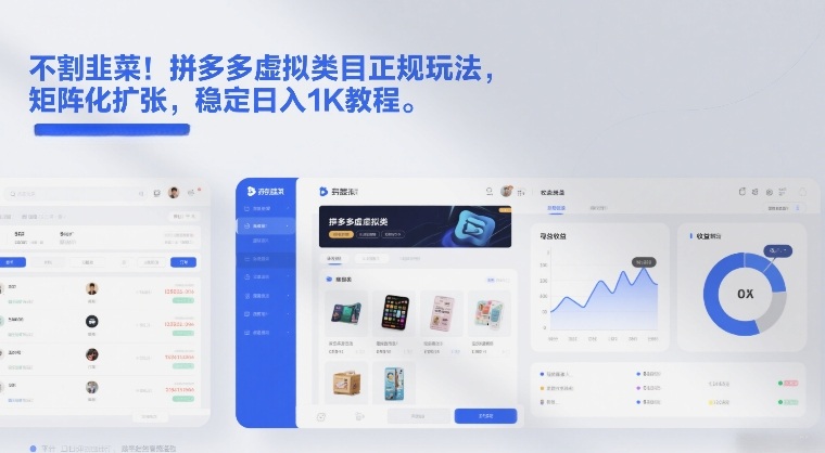 不割韭菜!拼多多虚拟类目正规玩法,矩阵化扩张,稳定日入1K教程【揭秘】-白蛇网赚