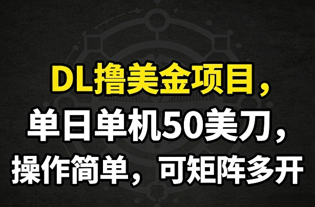 DL撸美金项目，单日单机50美刀，操作简单，可矩阵多开-白蛇网赚