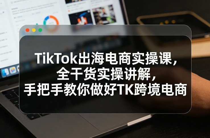 TikTok出海电商实操课，全干货实操讲解，手把手教你做好TK跨境电商-白蛇网赚