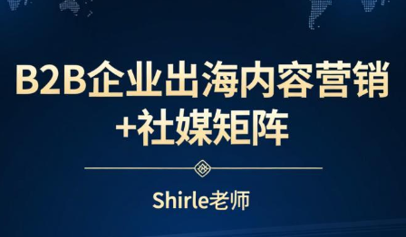 shirle老师·B2B企业出海内容营销+社媒矩阵-白蛇网赚