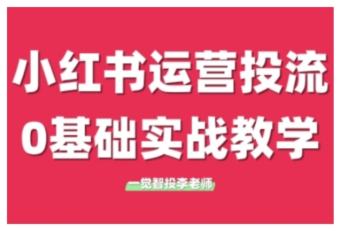 小红书运营投流，小红书广告投放从0到1的实战课，学完即可开始投放(更新26年)-白蛇网赚
