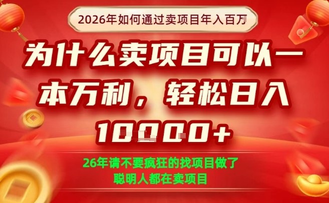 一单净利润1K+，26年想年入100个W，死磕卖项目就够了【揭秘】-白蛇网赚