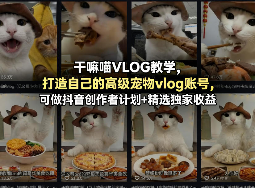 干嘛喵VLOG教学，打造自己的高级宠物vlog账号，可做抖音创作者计划+精选独家收益网赚项目-副业赚钱-互联网创业-资源整合青创网