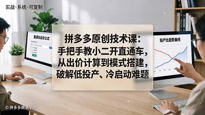 拼多多原创技术课：手把手教小二开直通车，从出价计算到模式搭建，破解低投产、冷启动难题-白蛇网