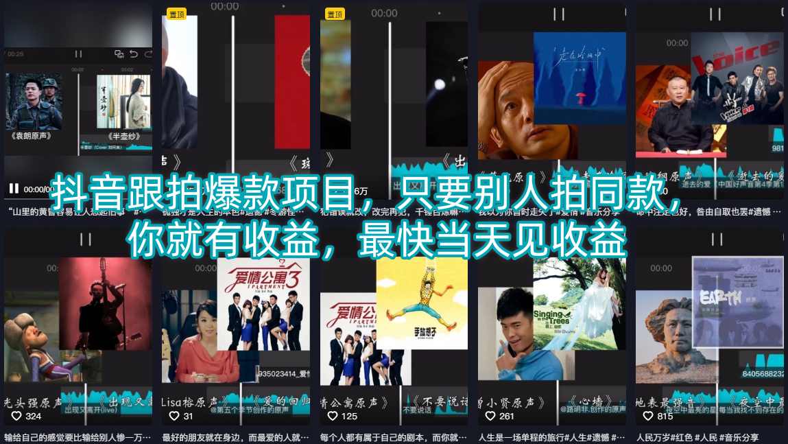 抖音跟拍爆款项目，只要别人拍同款，你就有收益，最快当天见收益网赚项目-副业赚钱-互联网创业-资源整合青创网