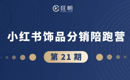 盗坤·抖音小红书视频号短视频带货与直播变现(11-21期)-白蛇网