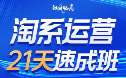 白凤电商·淘系运营21天速成班(更新4月)-白蛇网