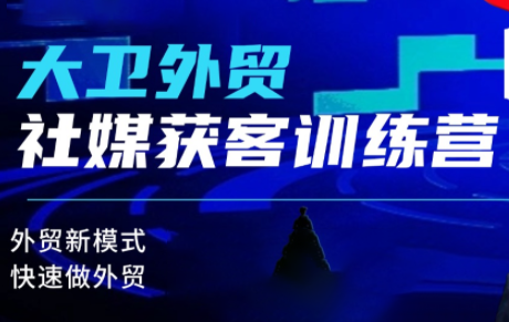 大卫老师·外贸社媒获客独家训练营(更新4月)-白蛇网
