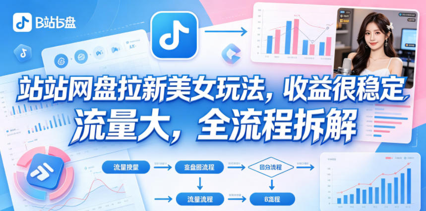 B站网盘拉新美女玩法，收益很稳定，流量大，全流程拆解-白蛇网