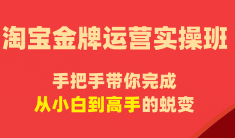 飓风电商·淘宝金牌运营实操班网赚项目-副业赚钱-互联网创业-资源整合青创网