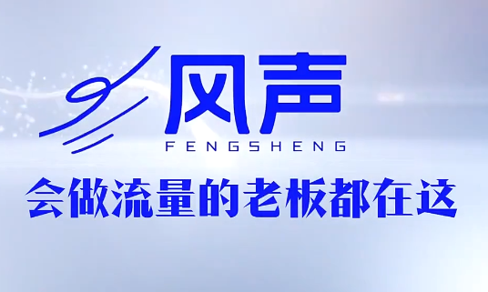 董十一·风声短视频AI获客年度会员网赚项目-副业赚钱-互联网创业-资源整合青创网