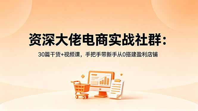 资深大佬电商实战社群：30篇干货+视频课，手把手带新手从0搭建盈利店铺网赚项目-副业赚钱-互联网创业-资源整合青创网