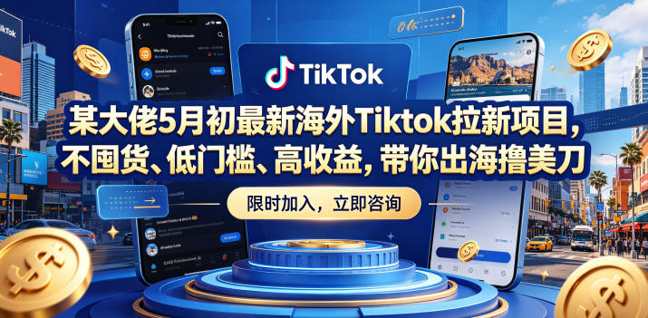某大佬5月初最新海外Tiktok拉新项目，不囤货、低门槛、高收益，带你出海撸美刀-白蛇网