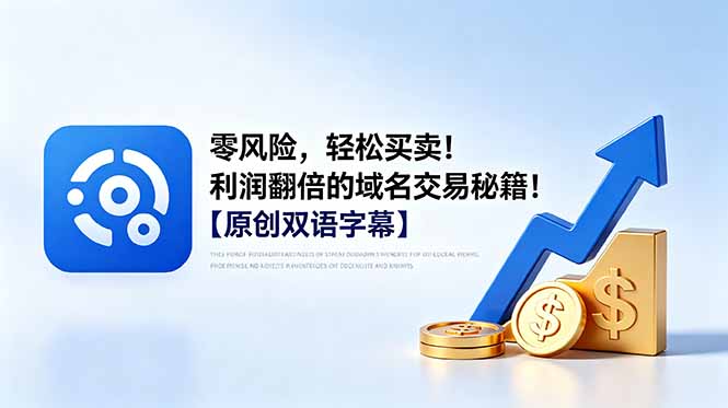 零风险，轻松买卖！利润翻倍的域名交易秘籍！【原创双语字幕】-白蛇网