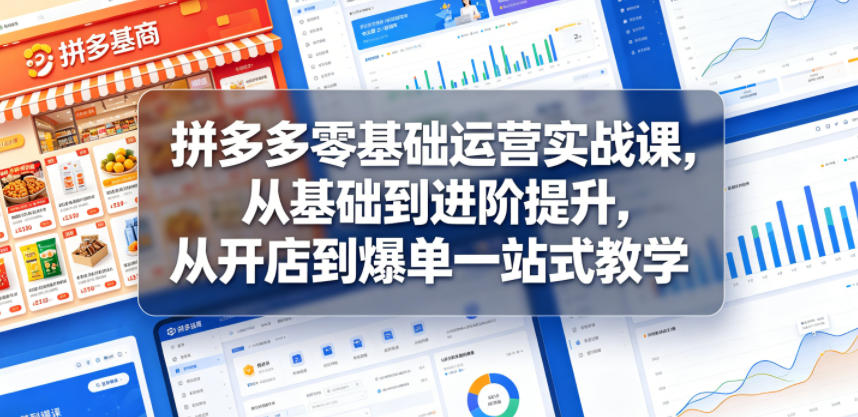 拼多多零基础运营实战课，从基础到进阶提升，从开店到爆单一站式教学-白蛇网