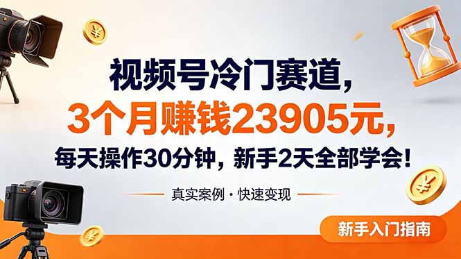 视频号冷门赛道,3个月变现23905元,新手2天学会 每天操作30分钟!-白蛇网