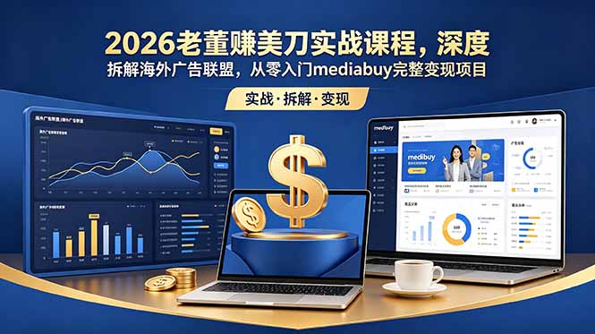 2026老董赚美刀实战课程，深度拆解海外广告联盟，从零入门mediabuy完整变现项目-白蛇网