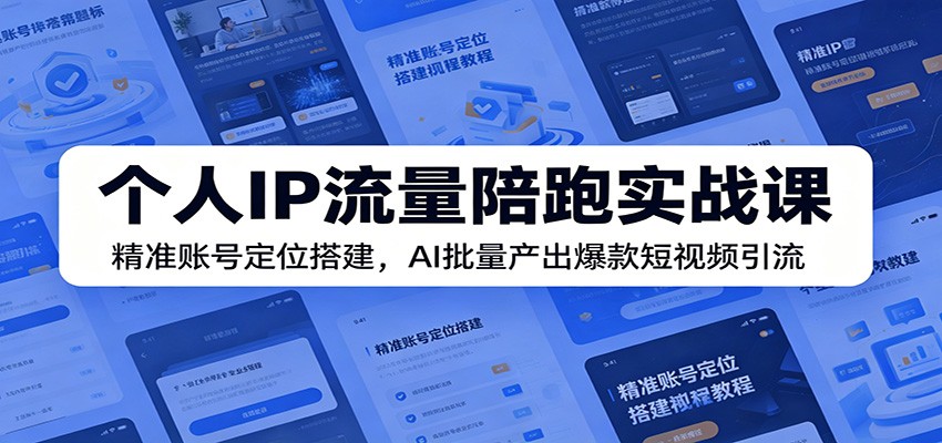 个人IP流量陪跑实战课：精准账号定位搭建，AI批量产出爆款短视频引流-白蛇网