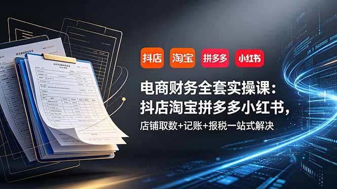 电商财务全套实操课：抖店淘宝拼多多小红书，店铺取数+记账+报税一站式解决-白蛇网