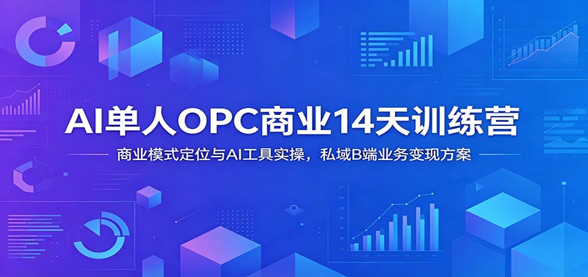 AI单人OPC商业14天训练营：商业模式定位与AI工具实操，私域B端业务变现方案-白蛇网