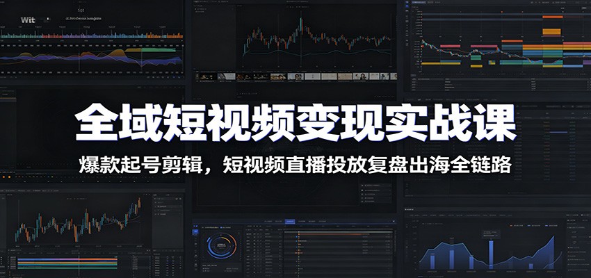 全域短视频变现实战课：爆款起号剪辑，短视频直播投放复盘出海全链路-白蛇网