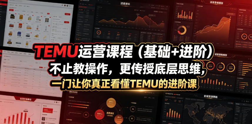 TEMU运营课程(基础+进阶)，不止教操作，更传授底层思维，一门让你真正看懂TEMU的进阶课-白蛇网