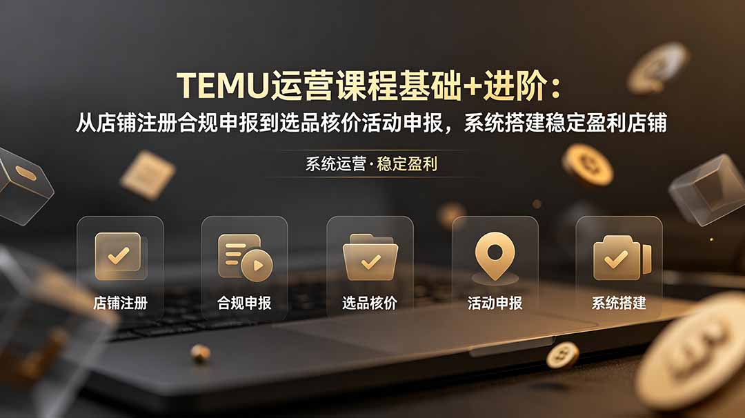 TEMU运营课程(基础+进阶-白蛇网