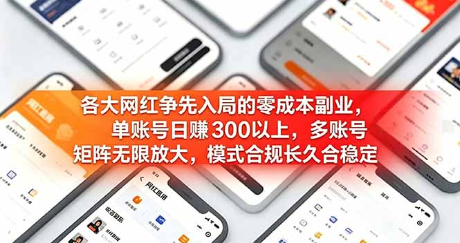 各大网红争先入局的零成本副业，单账号日赚 300 以上，多号矩阵可放大，模式合规长久稳定！-白蛇网