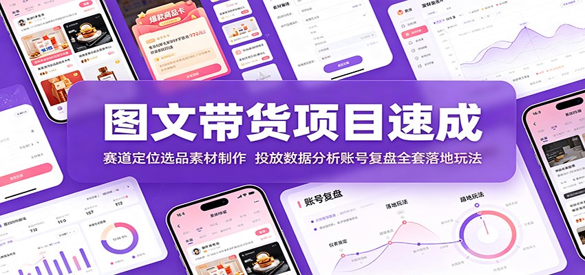 图文带货项目速成：赛道定位选品素材制作，投放数据分析账号复盘全套落地玩法-白蛇网