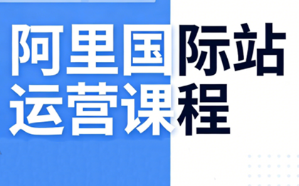 张国儒·阿里国际站运营课程(更新7月)-白蛇网