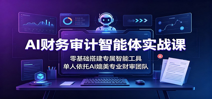 AI财务审计智能体实战课：零基础搭建专属智能工具，单人依托AI媲美专业财审团队-白蛇网